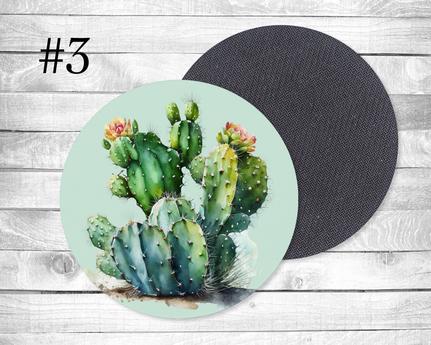 Cactus Absorbent Drink Coasters - Individual or set of 4 - Non-Slip Base - Neoprene