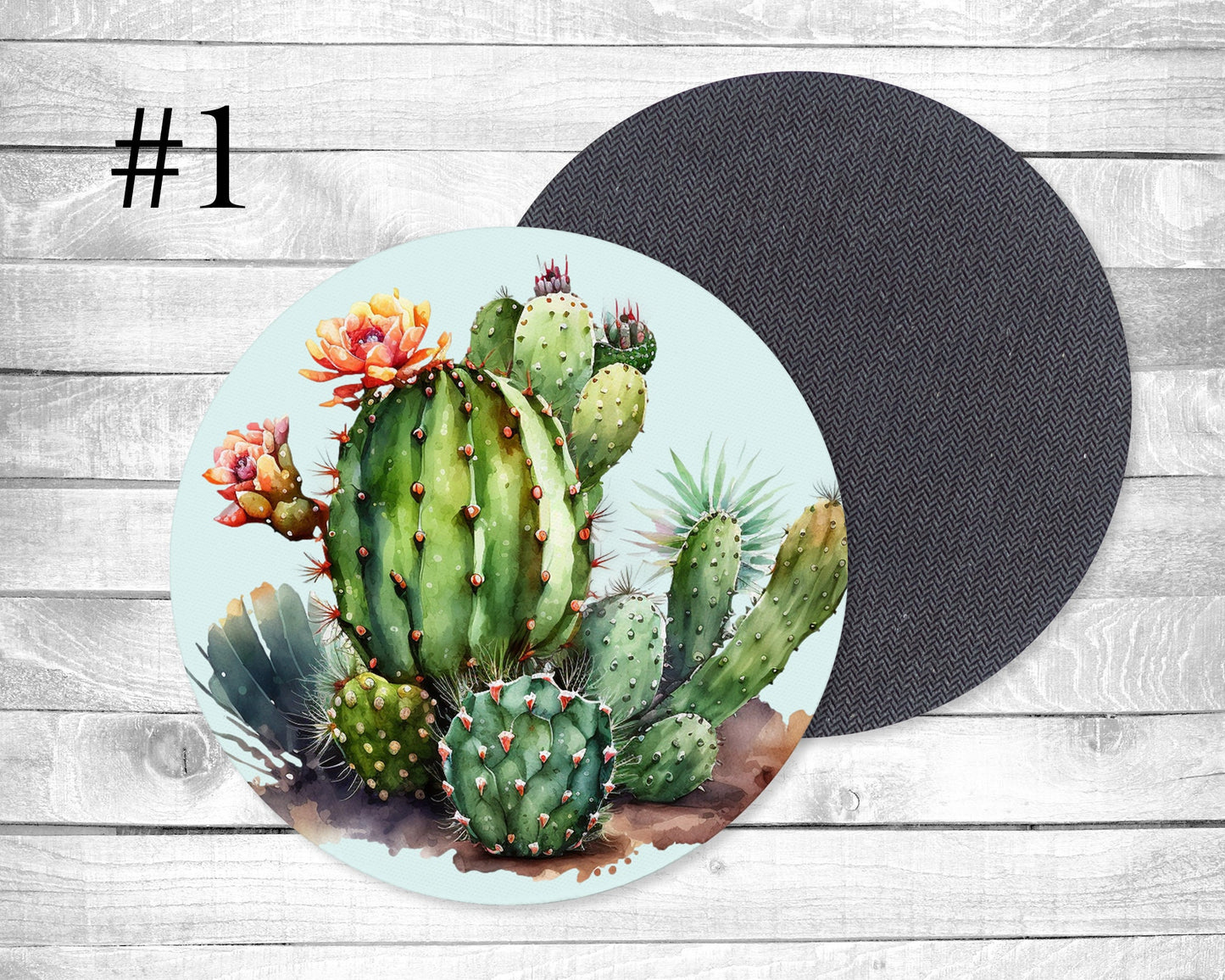 Cactus Absorbent Drink Coasters - Individual or set of 4 - Non-Slip Base - Neoprene